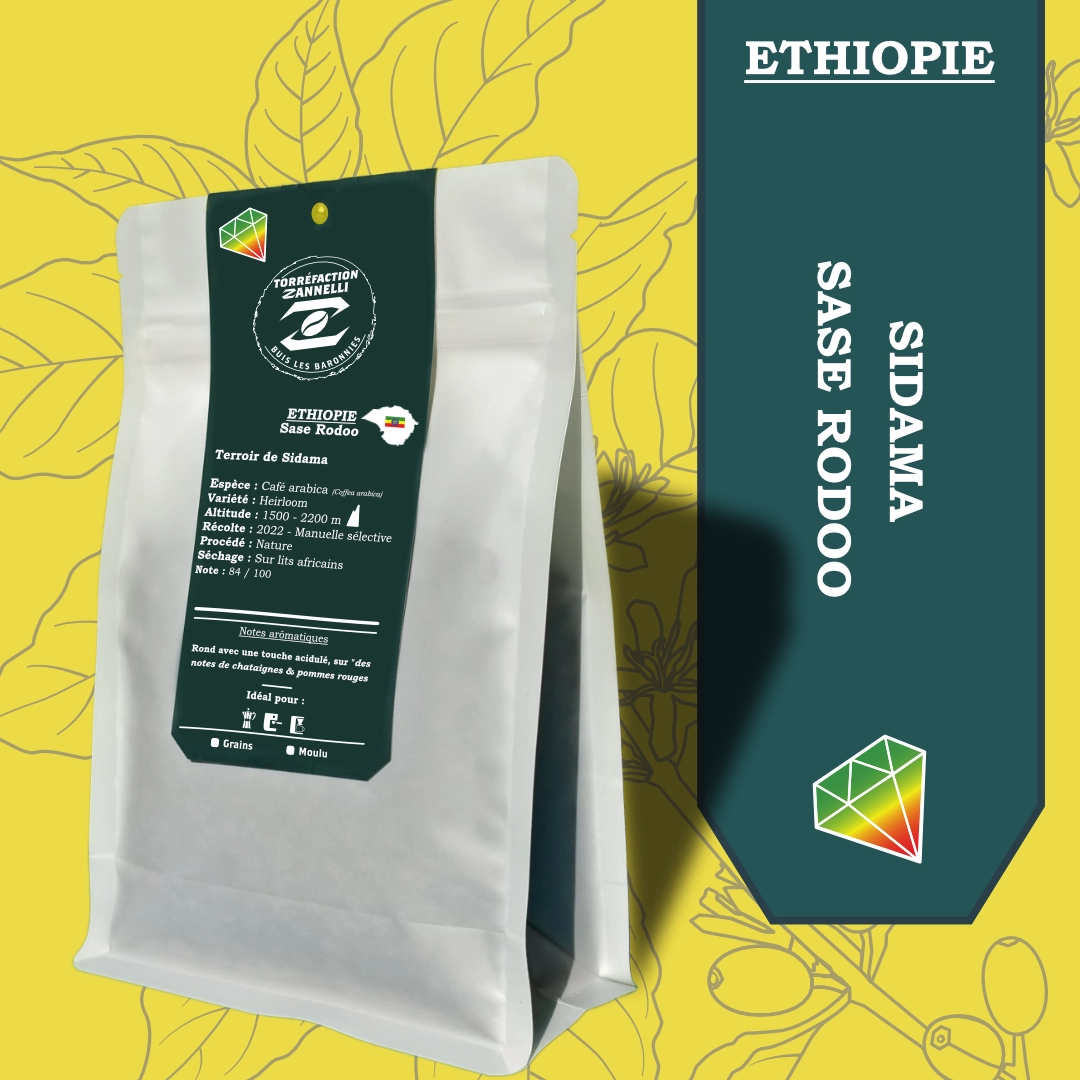 Café arabica torréfier origine Ethiopie Sidama Sase Rodoo