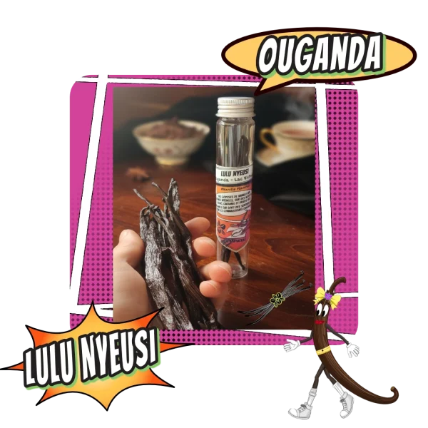 Gousses de vanille Planifolia Ouganda Lulu Nyeusi - Cafés Zannelli 26170 Buis-Les-Baronnies en Drôme Prpvençale