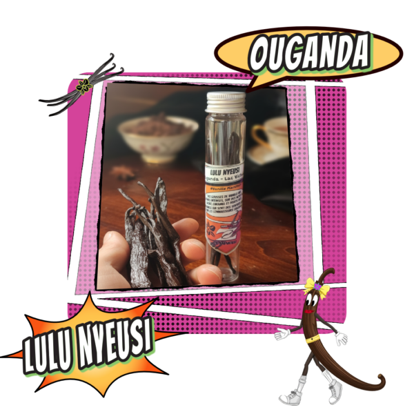 Gousses de vanille Planifolia Ouganda Lulu Nyeusi - Cafés Zannelli 26170 Buis-Les-Baronnies en Drôme Prpvençale