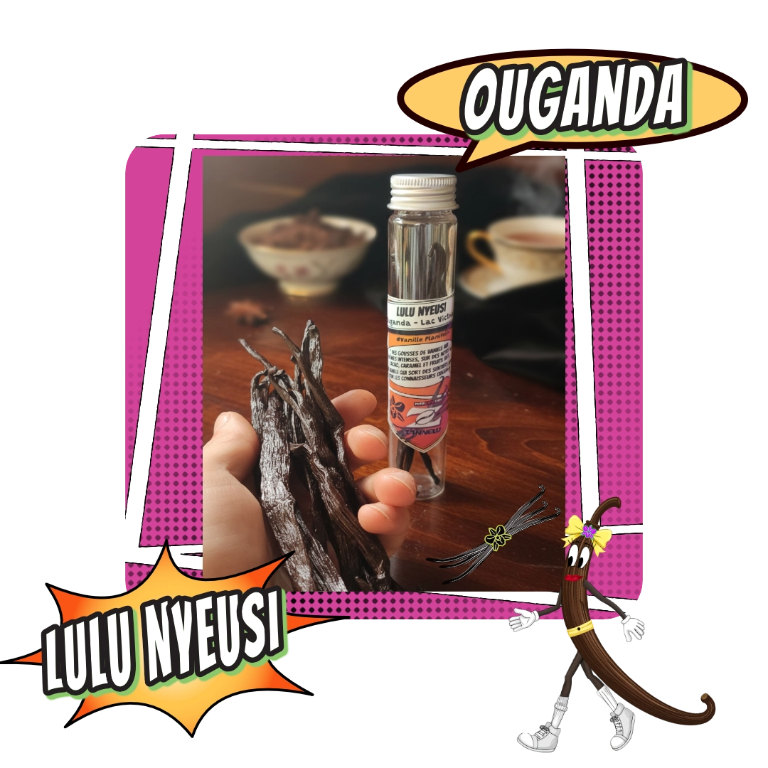 Gousses de vanille Planifolia Ouganda Lulu Nyeusi - Cafés Zannelli 26170 Buis-Les-Baronnies en Drôme Prpvençale