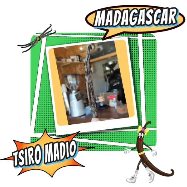 Gousse de Vanille Madagascar Tsiro Madio - Torréfaction Cafés Zannelli 26170 Buis Les Baronnies Drome Provence