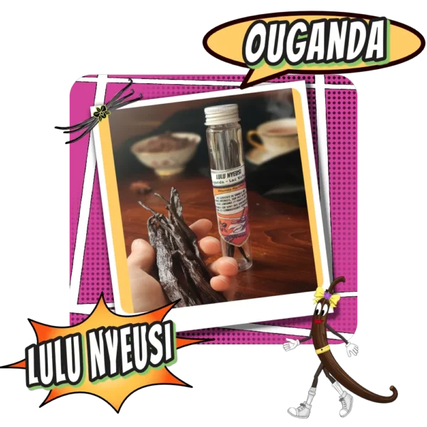 Gousse de Vanille extra Ouganda Lulu Nyeusi - Torréfaction Cafés Zannelli 26170 Buis Les Baronnies Drome Provence