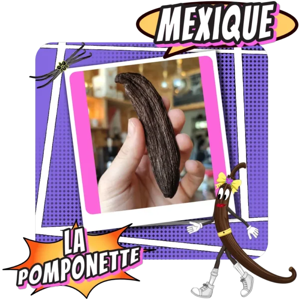 La Pomponette Gousses de Vanille Pompona du mexique - Torréfaction Cafés Zannelli 26170 Buis Les Baronnies Drome Provence